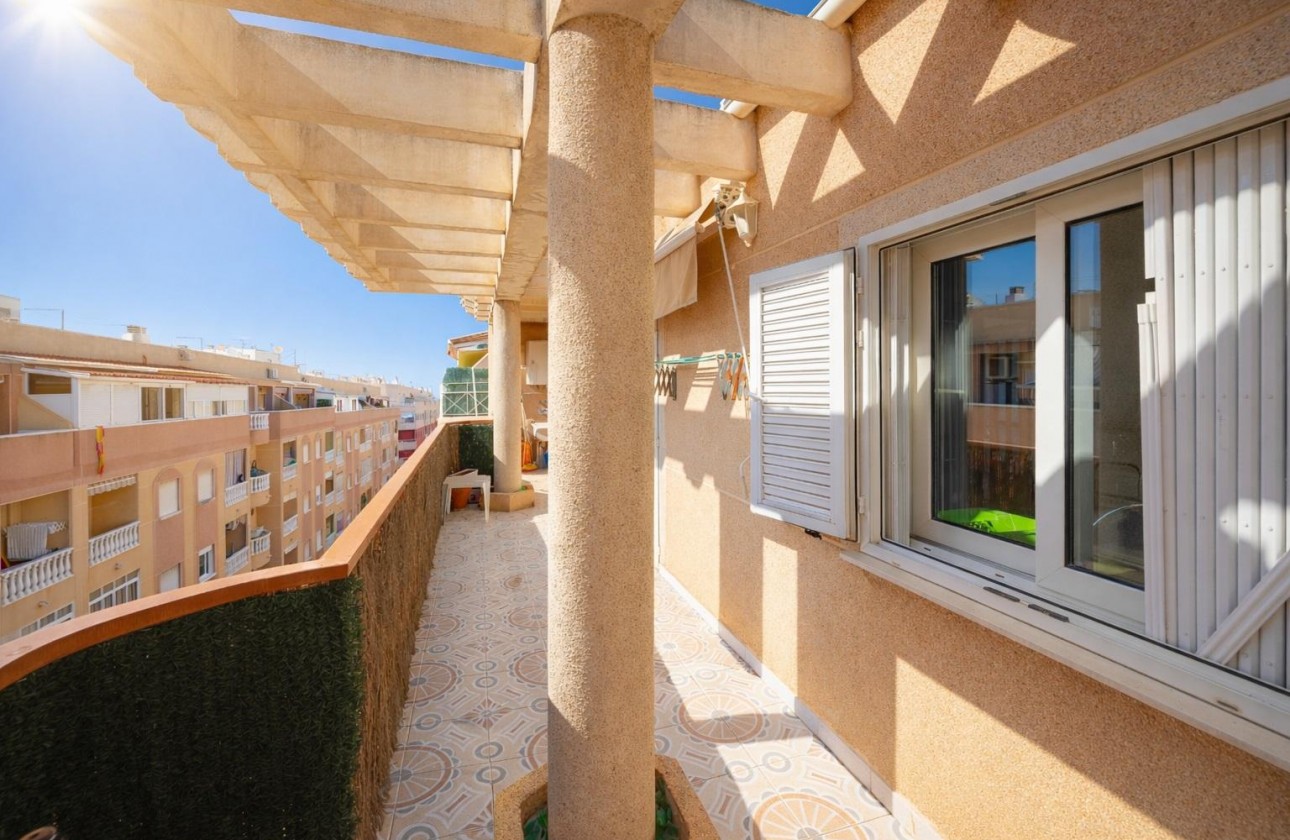 Segunda Mano - Apartamento - Torrevieja - Costa Blanca