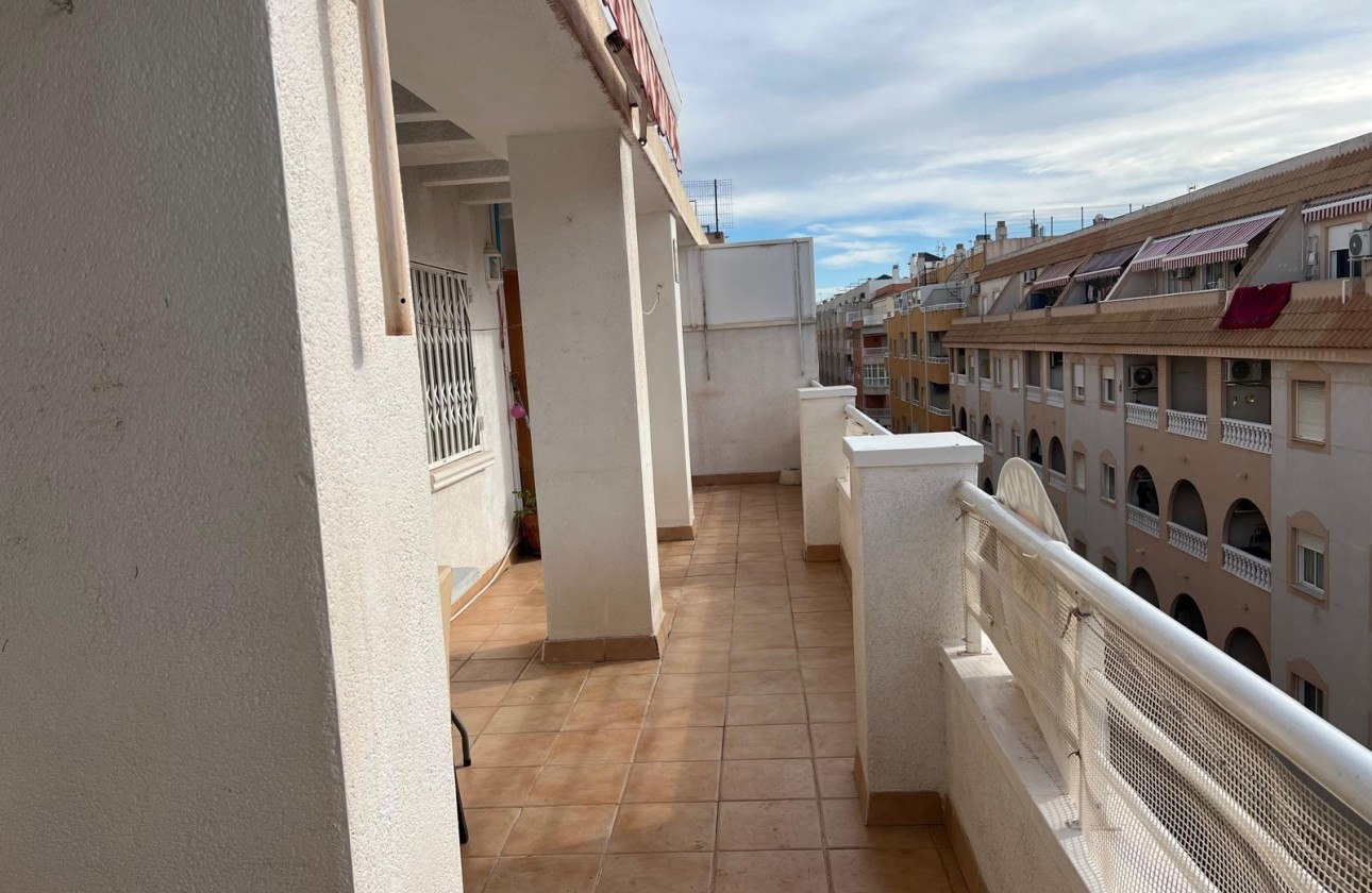 Segunda Mano - Apartamento - Torrevieja - Estacion de autobuses