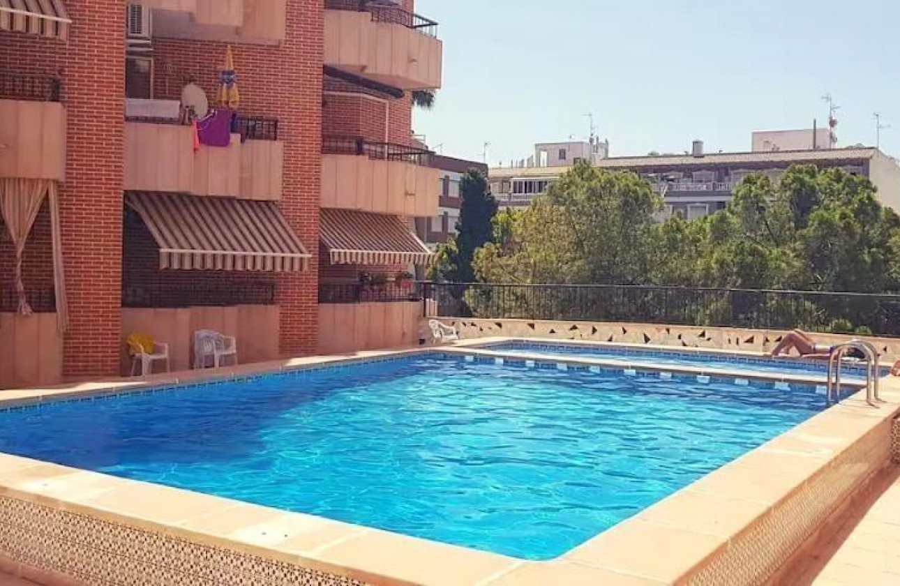 Segunda Mano - Apartamento - Torrevieja - Estacion de autobuses