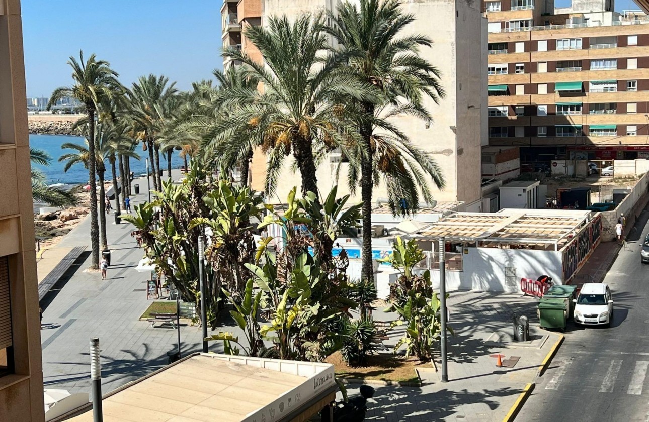 Segunda Mano - Apartamento - Torrevieja - Estacion de autobuses