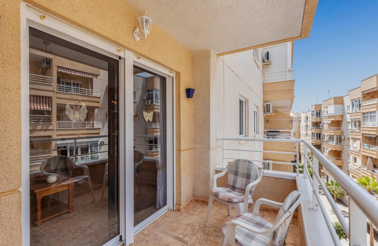 Segunda Mano - Apartamento - Torrevieja - Estacion de autobuses