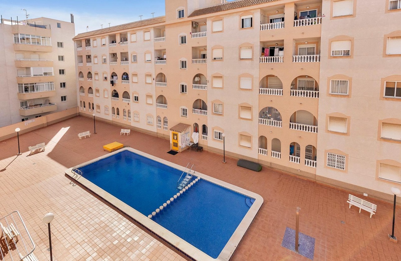 Segunda Mano - Apartamento - Torrevieja - Estacion de autobuses