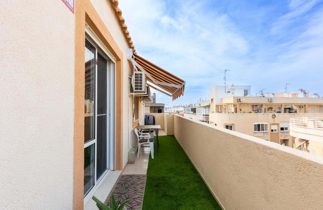 Segunda Mano - Apartamento - Torrevieja - Estacion de autobuses