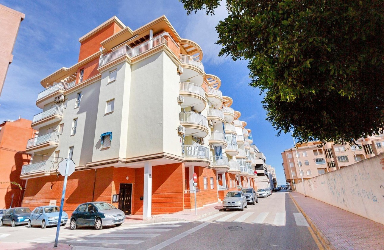 Segunda Mano - Apartamento - Torrevieja - La Mata pueblo