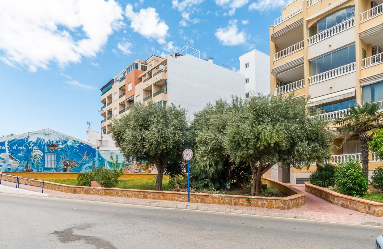 Segunda Mano - Apartamento - Torrevieja - La Mata