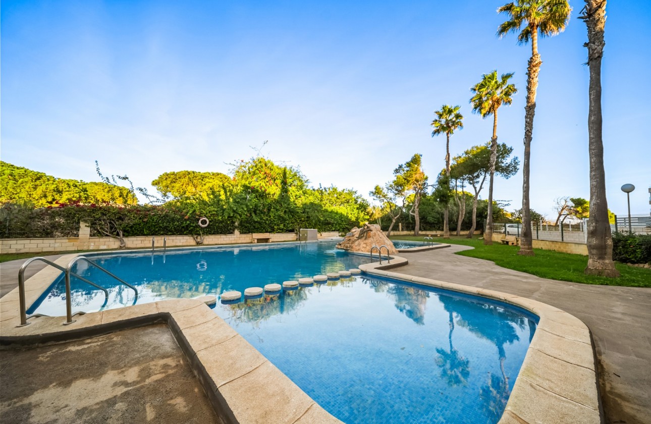 Segunda Mano - Apartamento - Torrevieja - La Mata