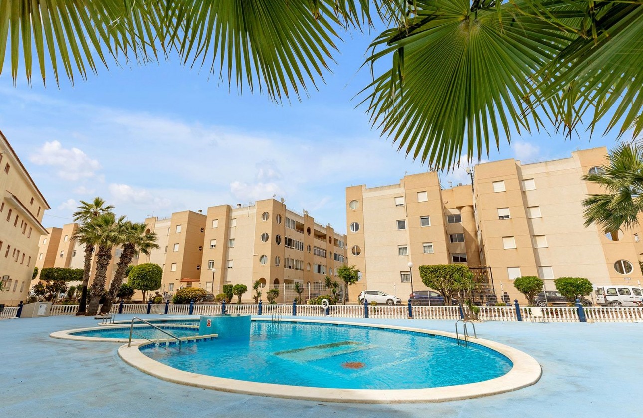 Segunda Mano - Apartamento - Torrevieja - La Siesta - El Salado - Torreta