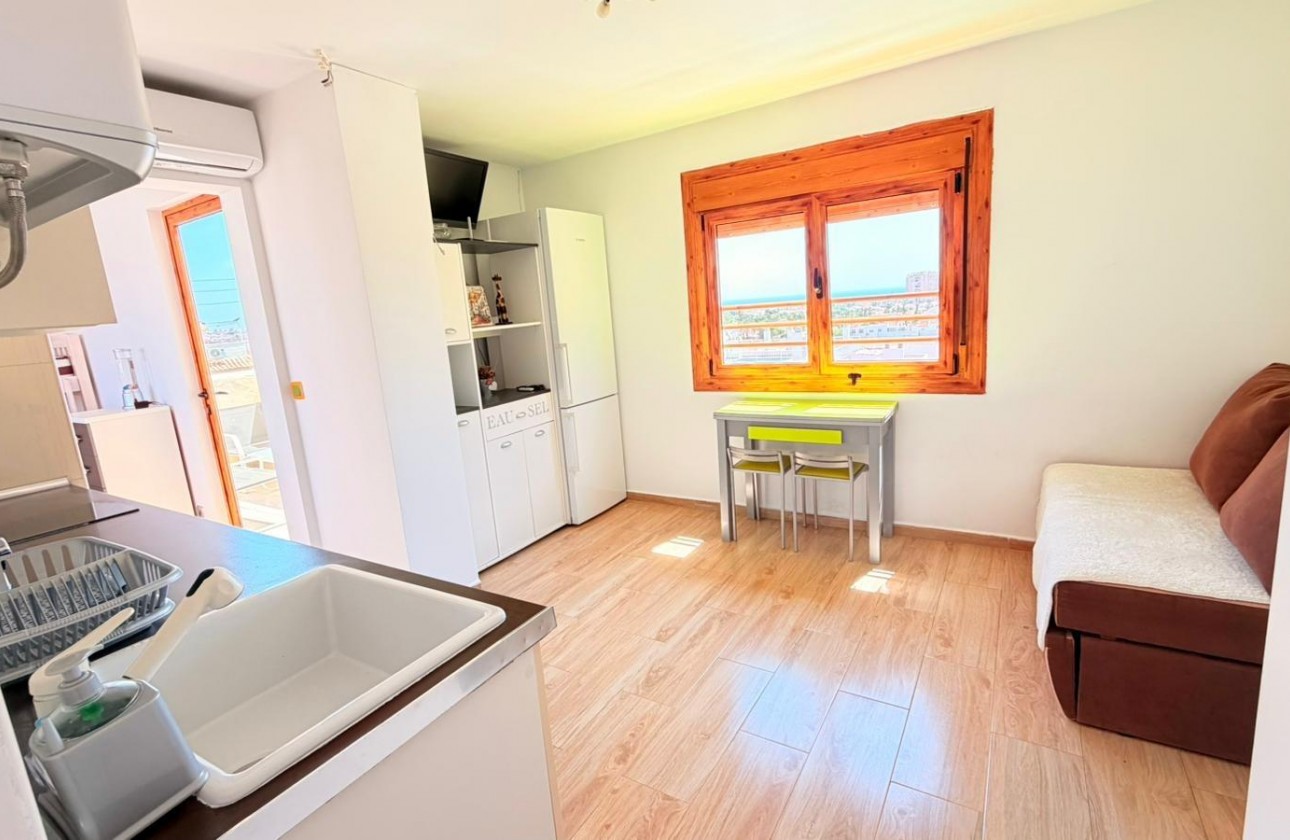 Segunda Mano - Apartamento - Torrevieja - Nueva Torrevieja