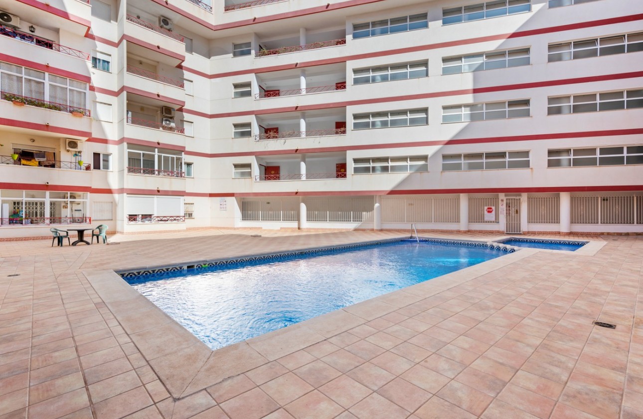 Segunda Mano - Apartamento - Torrevieja - Parque las naciones