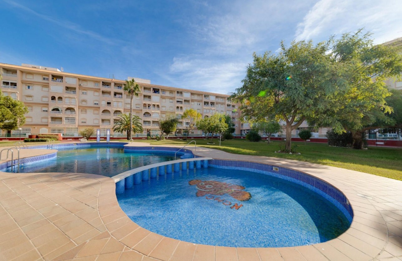 Segunda Mano - Apartamento - Torrevieja - Parque las naciones