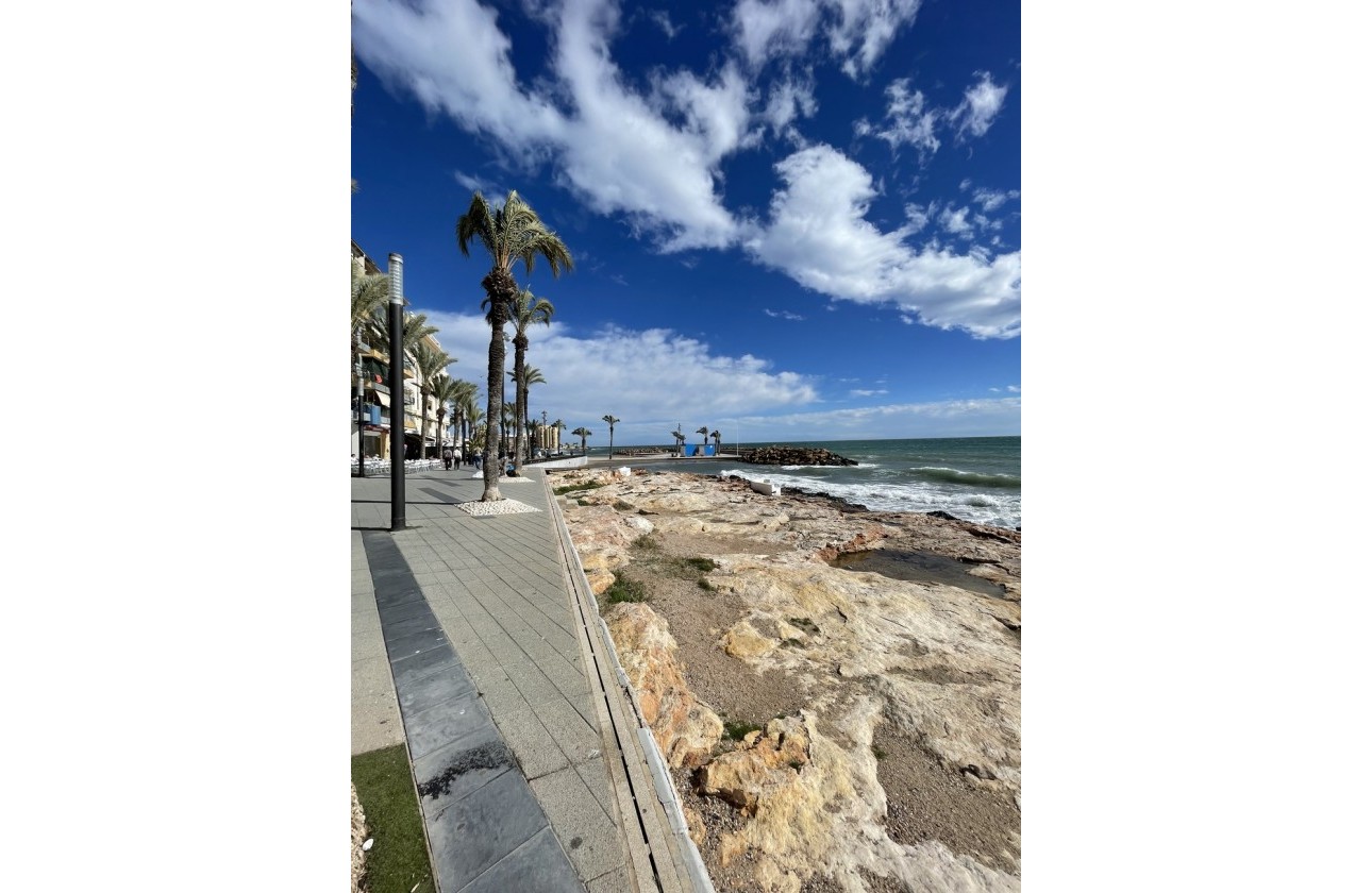 Segunda Mano - Apartamento - Torrevieja - Playa de cura