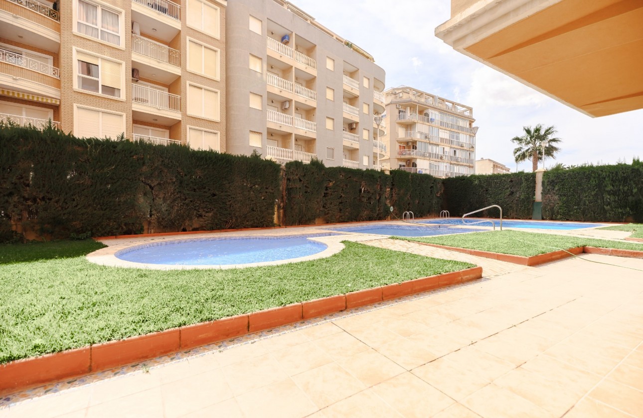 Segunda Mano - Apartamento - Torrevieja - Playa Los Locos