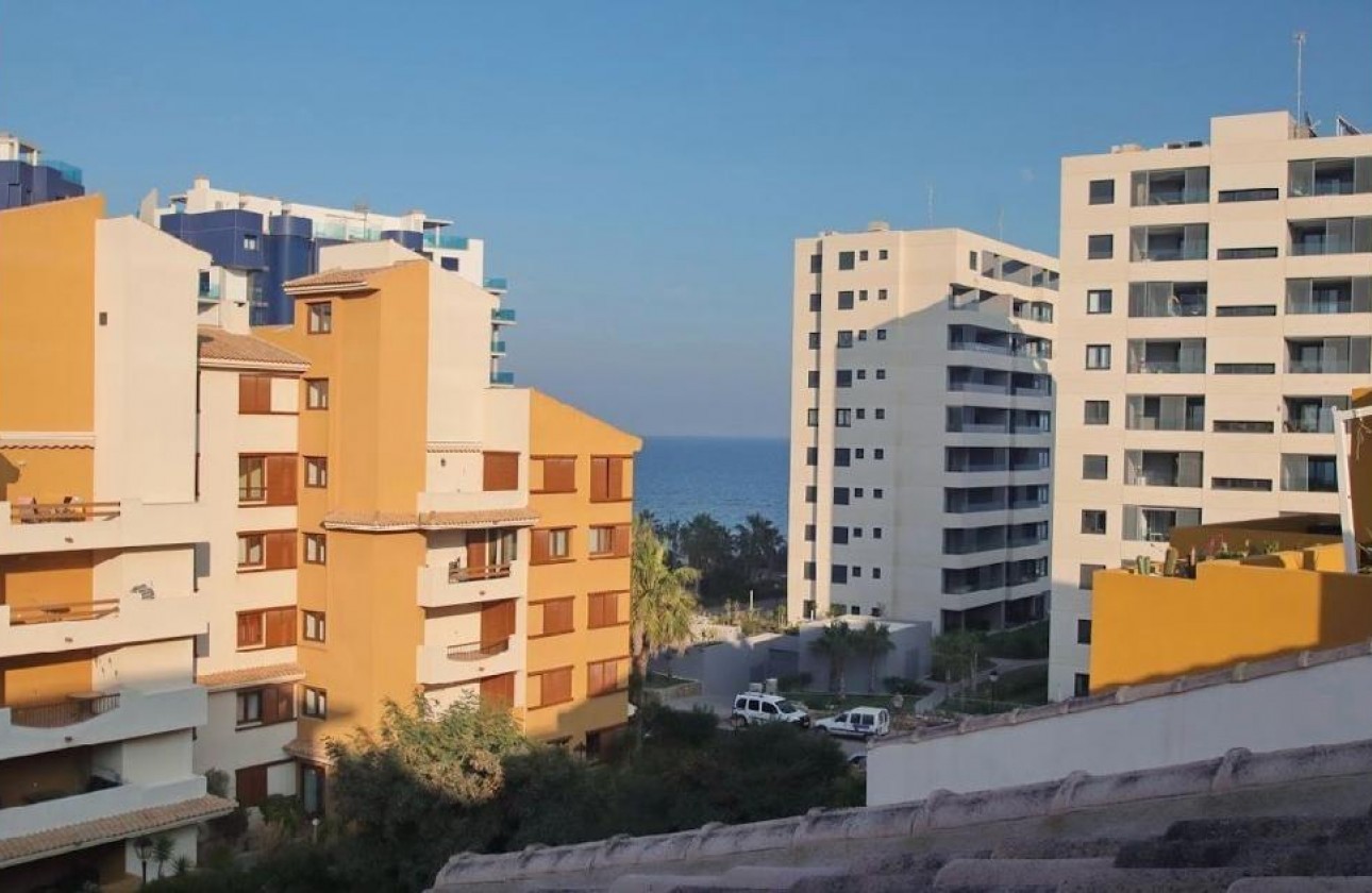 Segunda Mano - Apartamento - Torrevieja - Punta prima