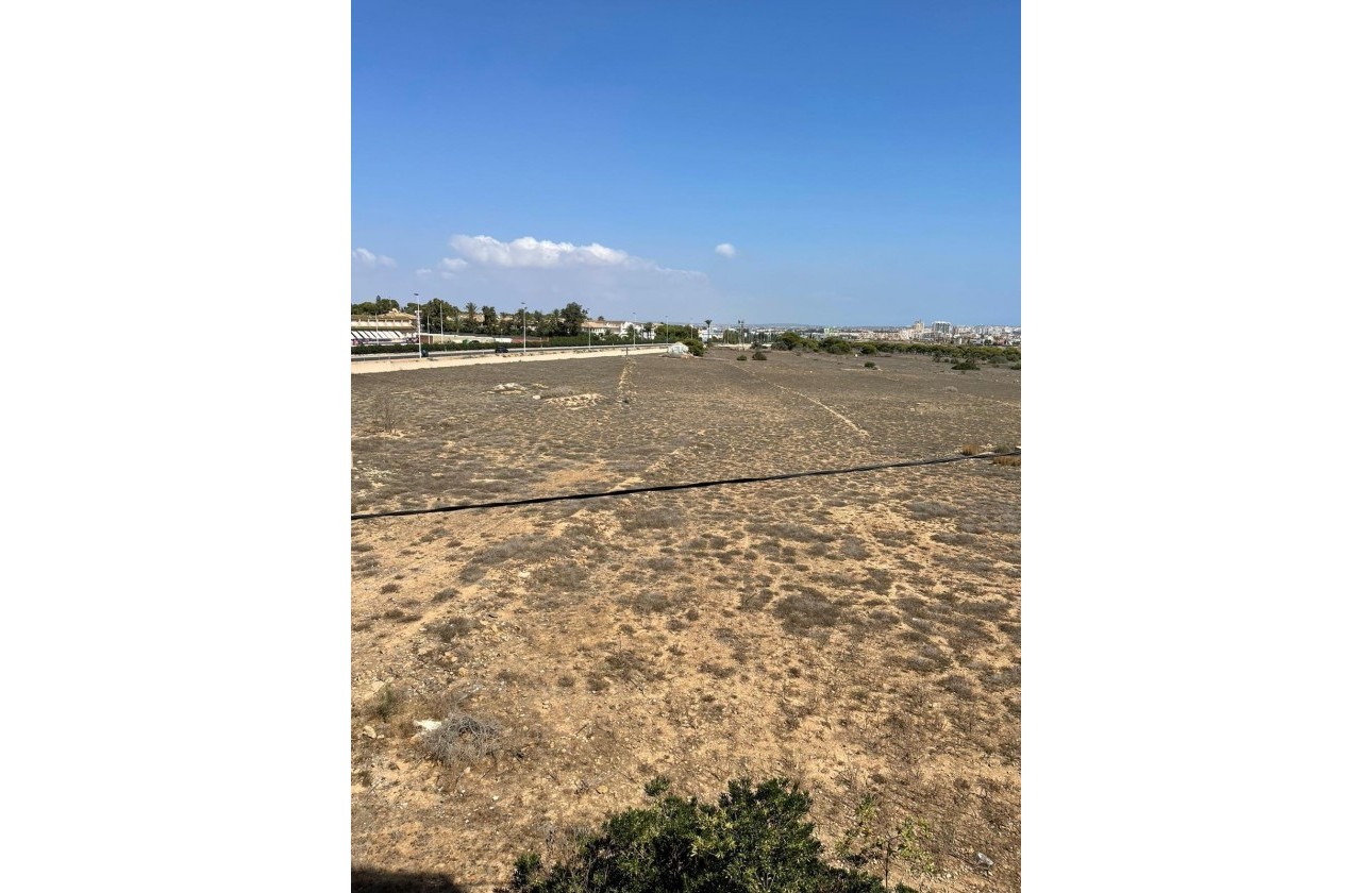 Segunda Mano - Apartamento - Torrevieja - Punta prima