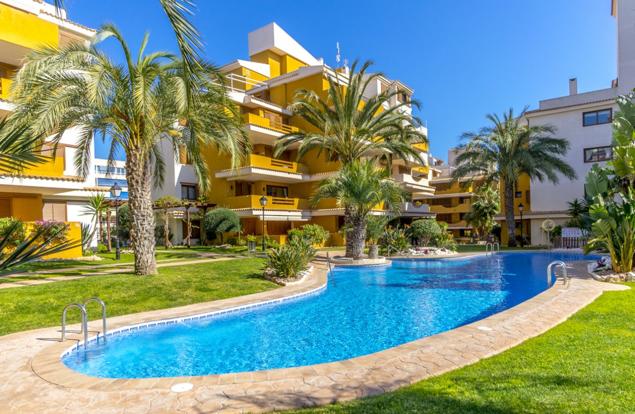 Segunda Mano - Apartamento - Torrevieja - Punta prima