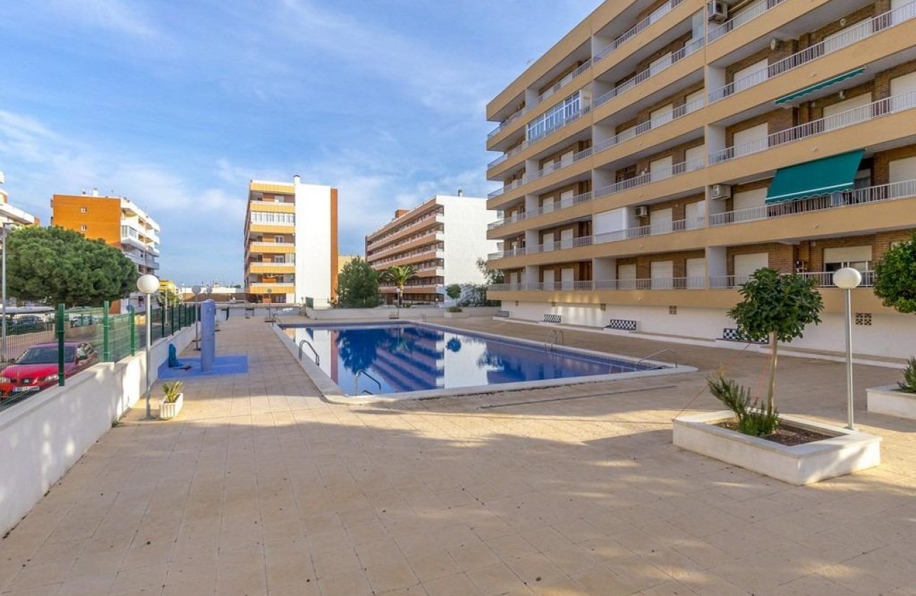 Segunda Mano - Apartamento - Torrevieja - Punta prima