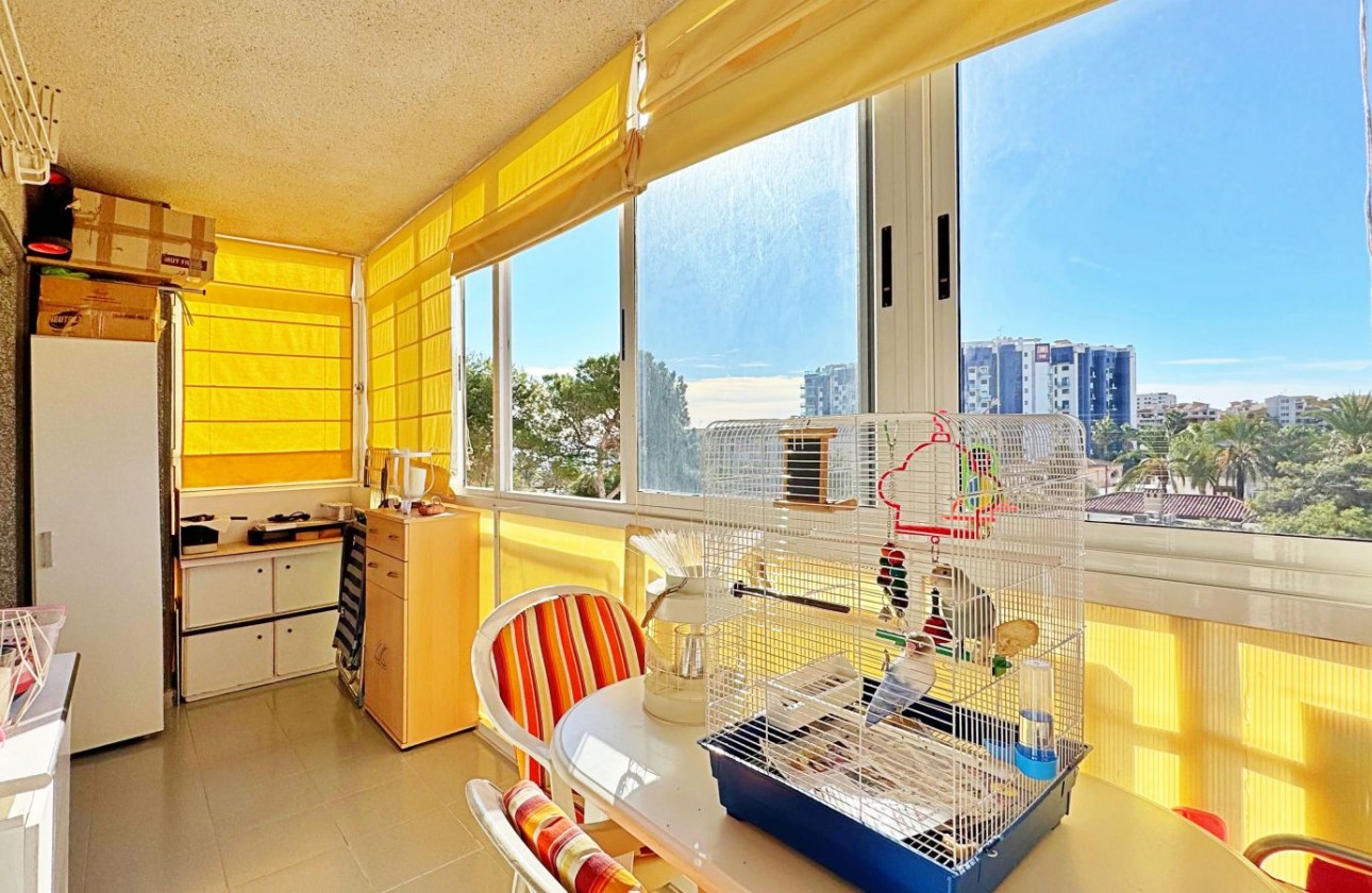 Segunda Mano - Apartamento - Torrevieja - Rocio Del Mar