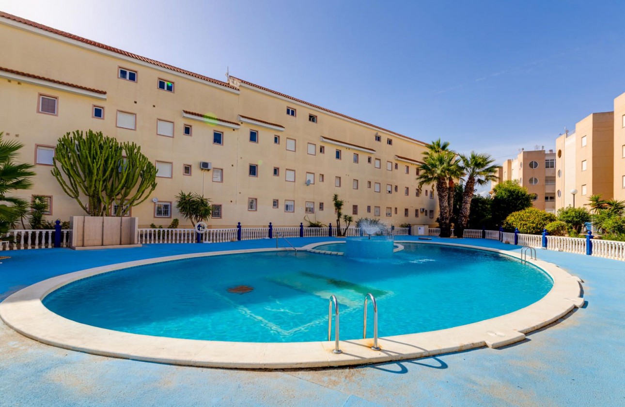 Segunda Mano - Apartamento - Torrevieja - San Luis
