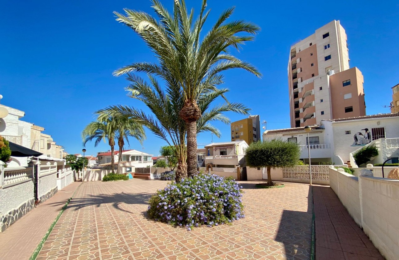 Segunda Mano - Apartamento - Torrevieja - Torrejón