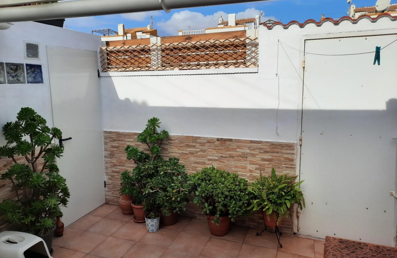 Segunda Mano - Apartamento - Torrevieja - Torretas