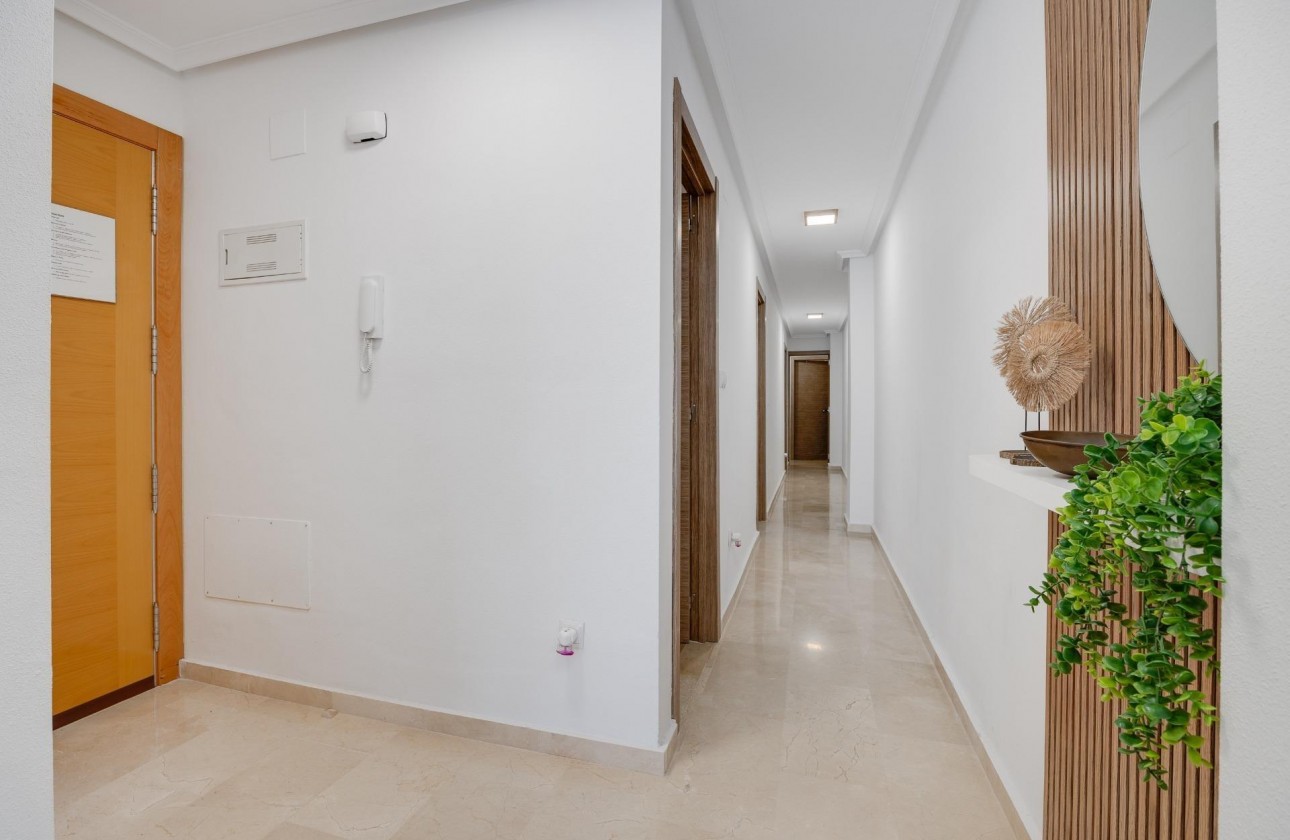 Segunda Mano - Apartamento - Torrevieja - torrevieja