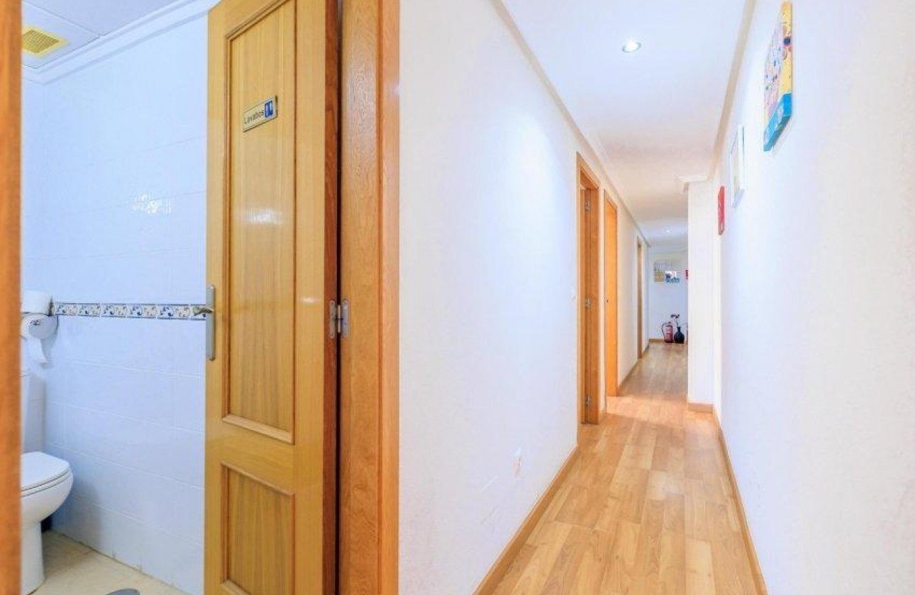 Segunda Mano - Apartamento - Torrevieja - torrevieja