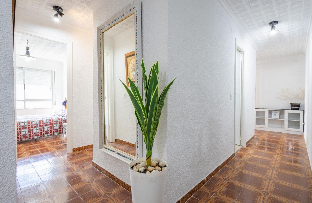 Segunda Mano - Apartamento - Torrevieja - torrevieja