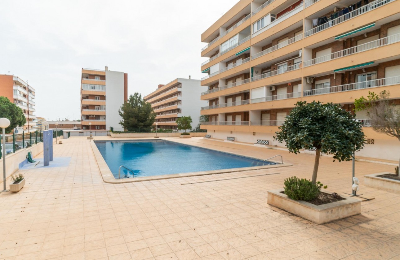 Segunda Mano - Apartamento - Torrevieja - torrevieja