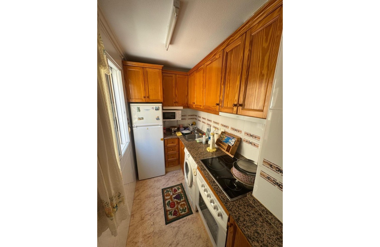 Segunda Mano - Apartamento - Torrevieja - torrevieja