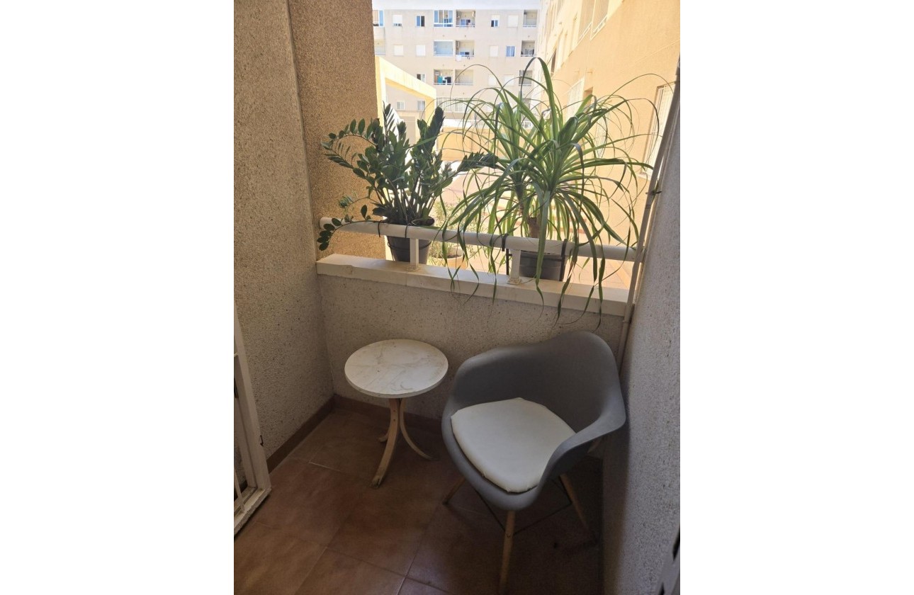 Segunda Mano - Apartamento - Torrevieja - torrevieja