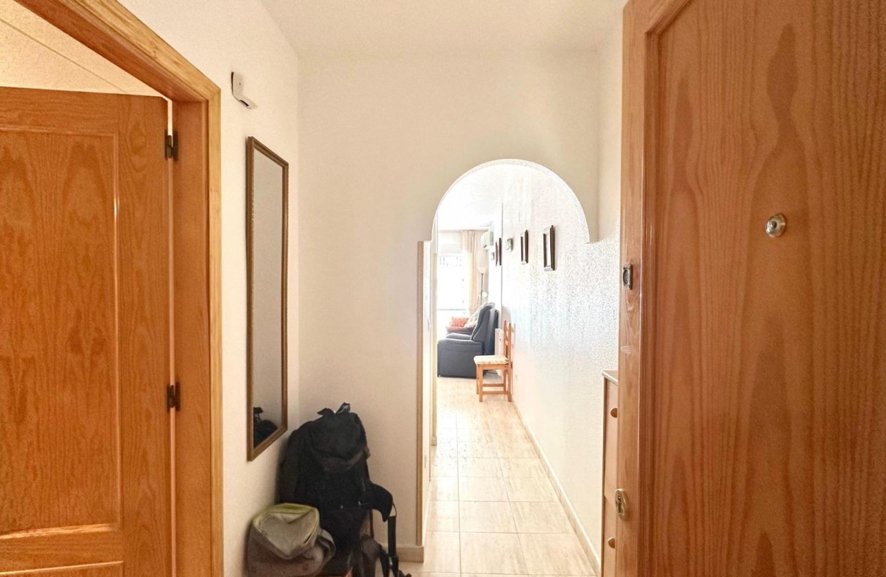 Segunda Mano - Apartamento - Torrevieja - torrevieja