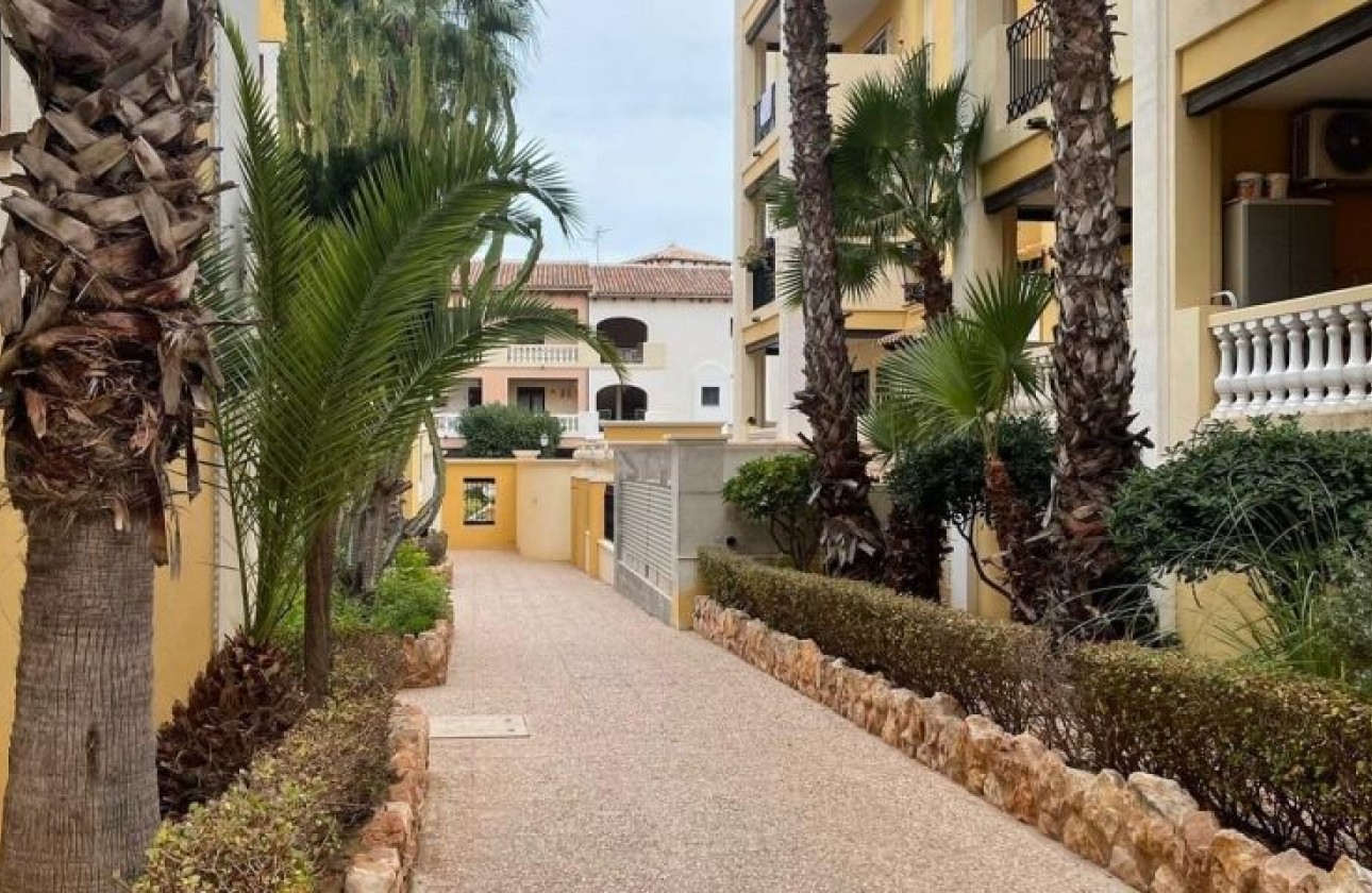 Segunda Mano - Apartamento - Torrevieja