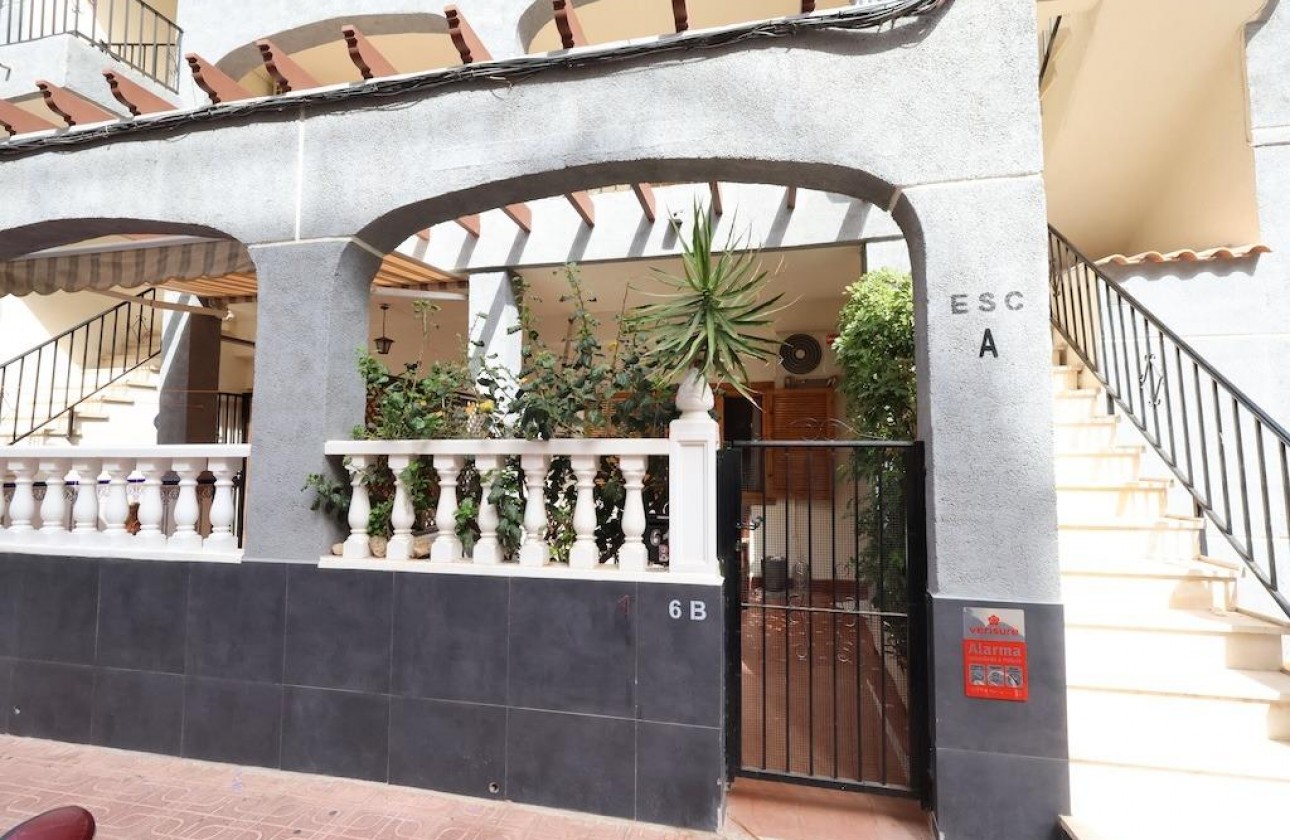 Segunda Mano - Bungalow - Torrevieja - Acequion