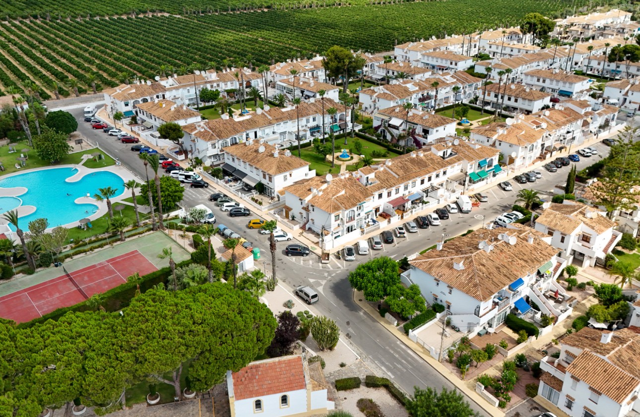 Segunda Mano - Bungalow - Torrevieja - Lago jardin