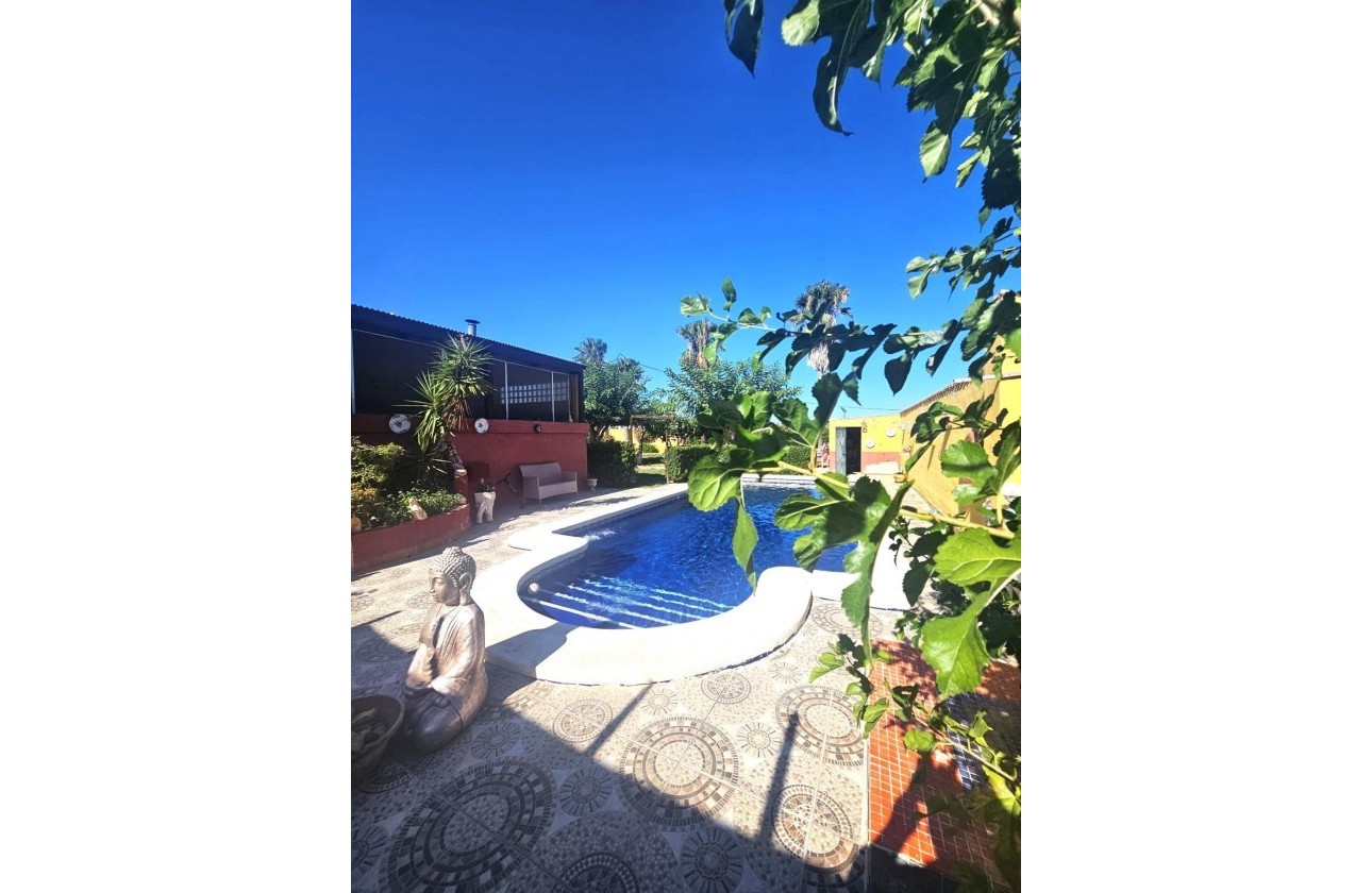 Segunda Mano - Chalet - Dolores - Comunidad valenciana