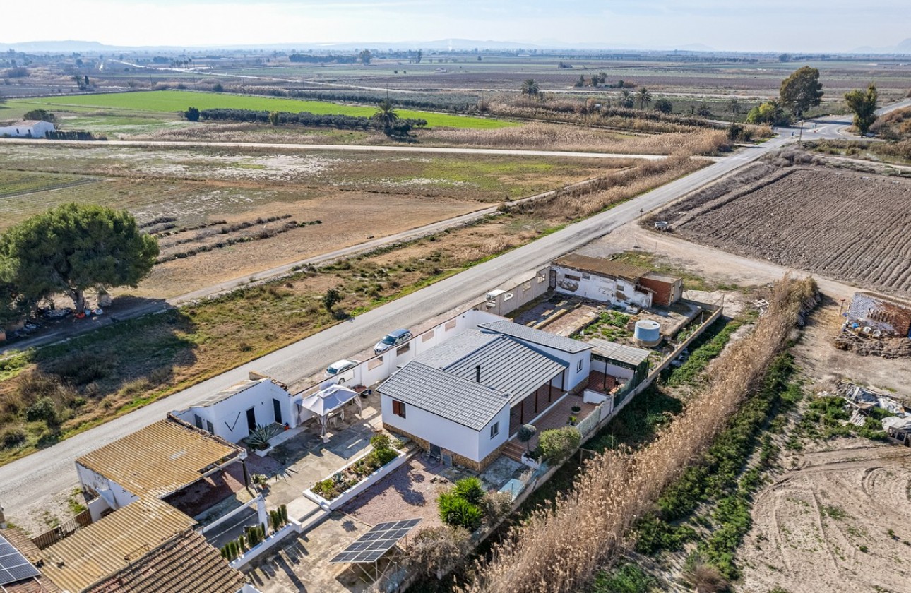 Segunda Mano - Chalet - Elche - Daimés