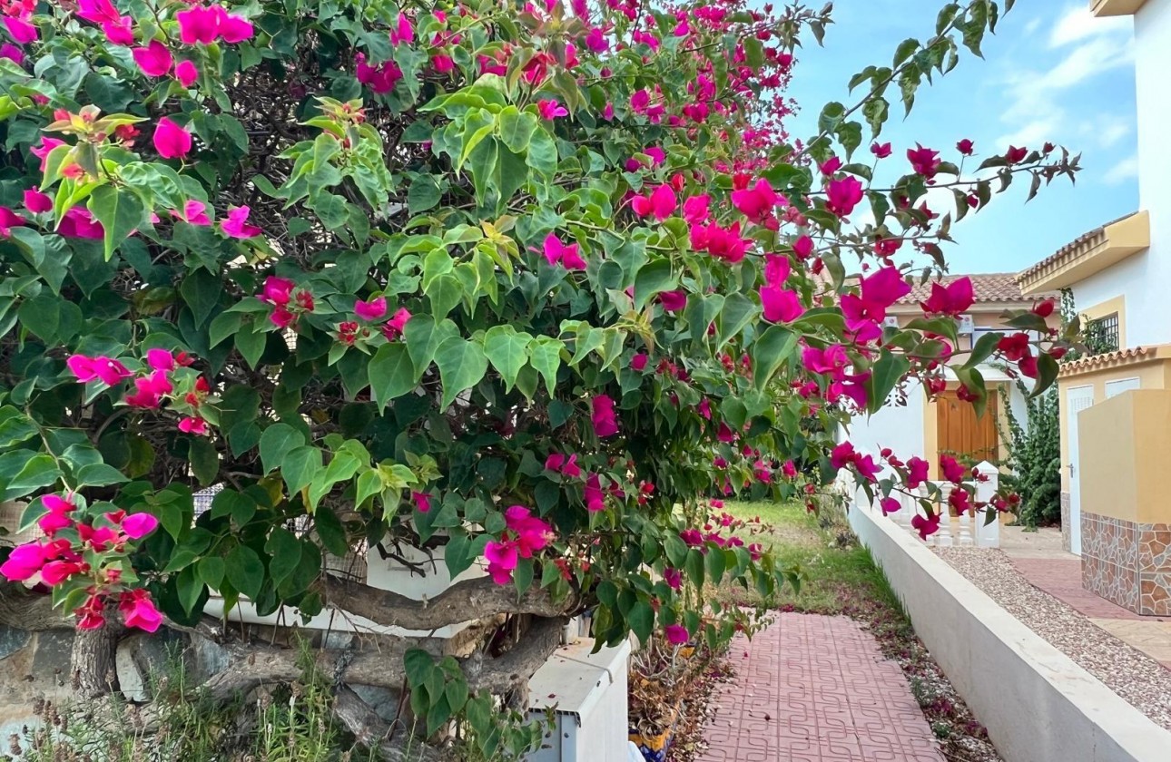 Segunda Mano - Chalet - Orihuela Costa - Punta Prima