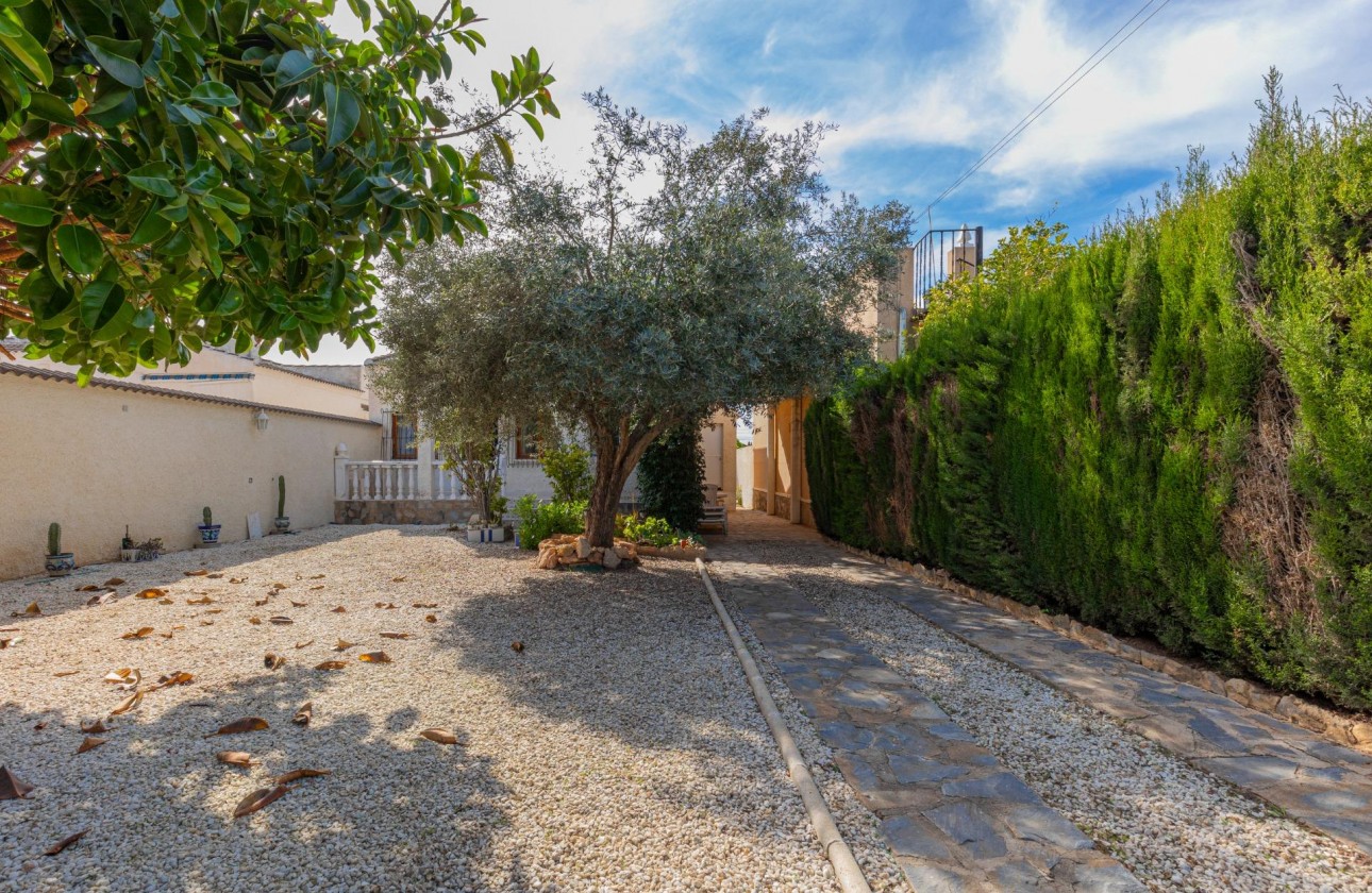 Segunda Mano - Chalet - Torrevieja - El chaparral