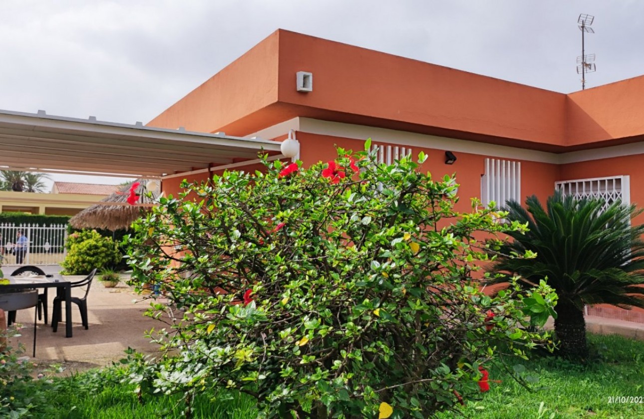 Segunda Mano - Chalet - Torrevieja - La veleta