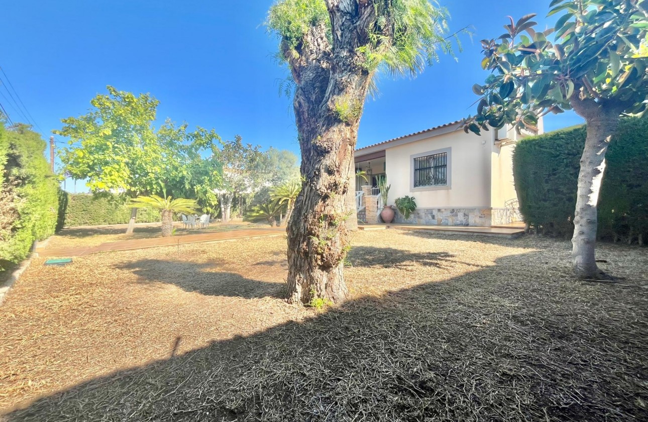 Segunda Mano - Chalet - Torrevieja - Los Balcones - Los Altos del Edén