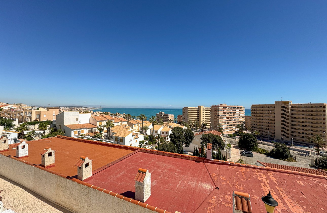 Segunda Mano - Duplex - Torrevieja - Cabo cervera