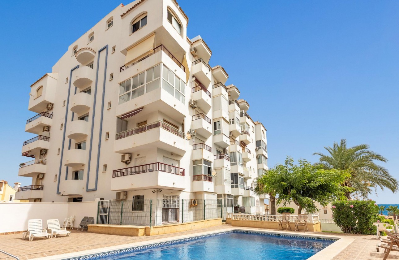 Segunda Mano - Estudio - Torrevieja - Torreblanca