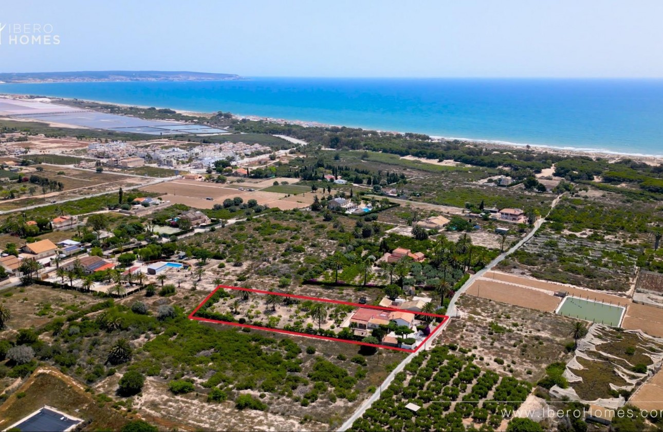 Segunda Mano - Finca - La marina - La Marina