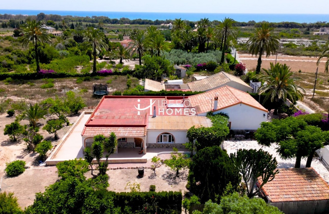 Segunda Mano - Finca - La marina - La Marina