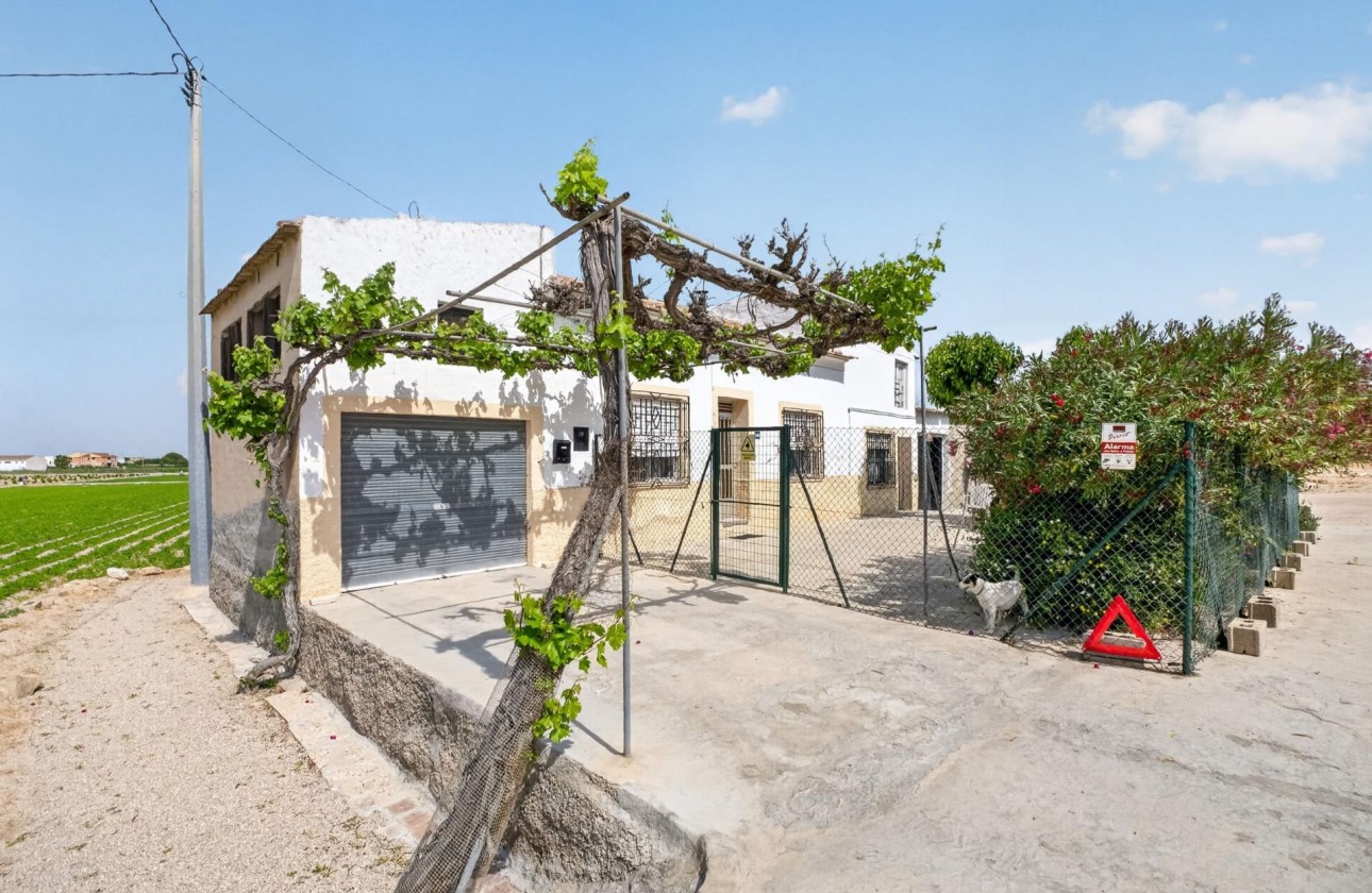 Segunda Mano - Finca - Orihuela Costa - Desamparados-Hurchillo-Torremendo
