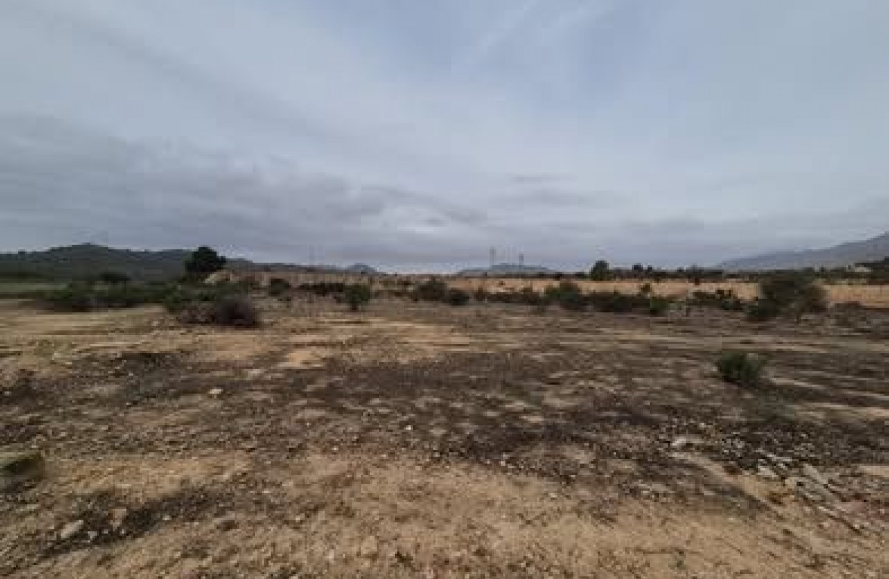 Segunda Mano - Parcela - Hondón de las Nieves