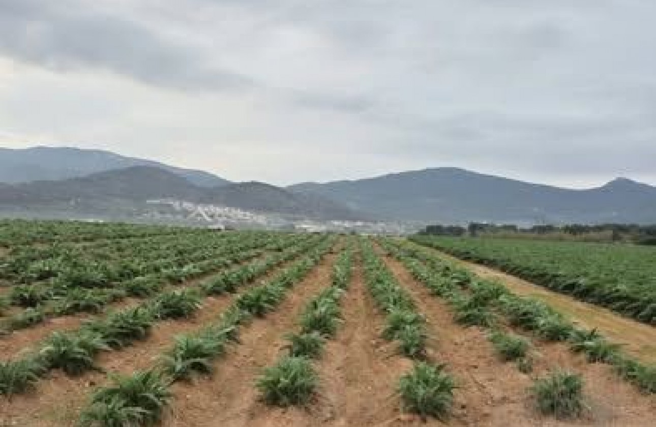 Segunda Mano - Parcela - Hondón de las Nieves