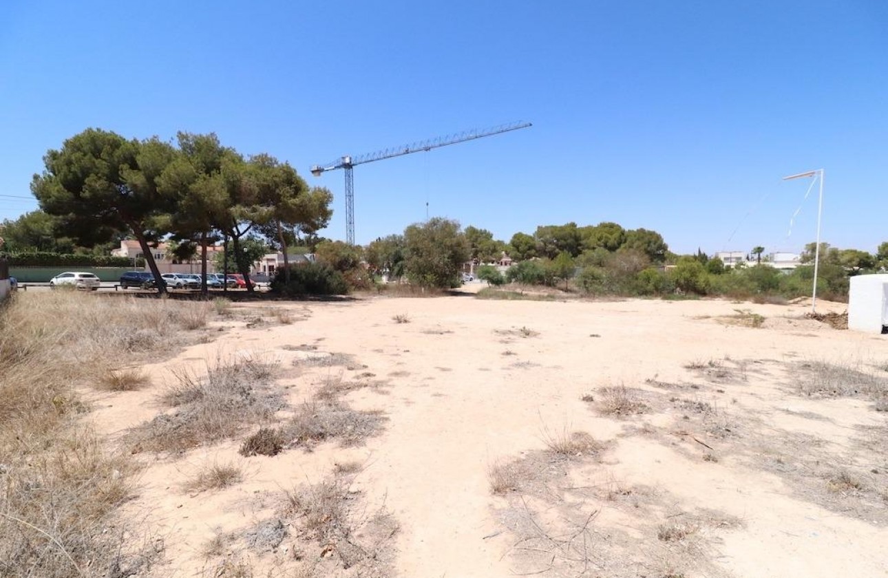 Segunda Mano - Parcela - Orihuela Costa - Montezenia