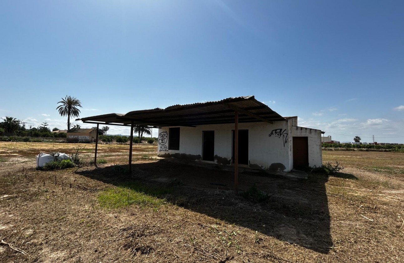 Segunda Mano - Parcela - San Miguel de Salinas - San Miguel Salinas