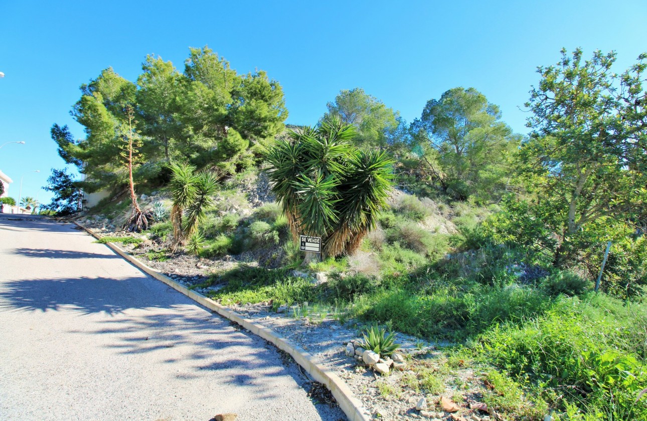 Segunda Mano - Parcela - San Miguel de Salinas